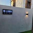 버터멍 | 전주애견동반호텔 멍스테이 , 내돈내산 찐 후기