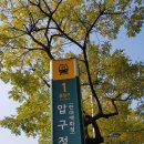 강남 압구정동 (압구정역1번출구 인근) 48평형 압구정현대아파트 매매 관련 디스코드 서버 주소안내 (20230103) 이미지