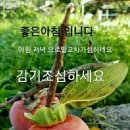 더블리아