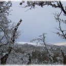 2월6-7(1박2일)제주 한라산눈꽃산행및 돈내코코스-올레트레킹안내 이미지