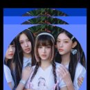 성수보쌈 이미지