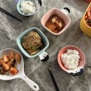 대성모텔 | 11월 셋째주 일상(수원 아늑 료칸, 위키드 포굿, 스타벅스 미니어처 텀블러 키링)