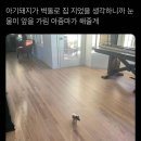 킹받쥬?