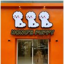 퍼피애견샵 이미지