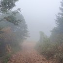 청송로668부대찌개 이미지