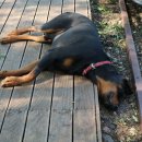 톨게이트 낚시터 이미지