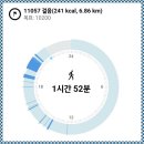85번지