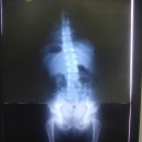 추사랑한의원 이미지