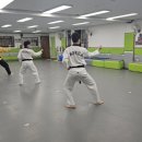 T.S 한국체대 한일태권도장 이미지