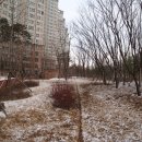 서울시 서초구 반포동 반포자이 아파트 단지 겨울 정원 이미지