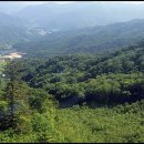 성지태권도 이미지