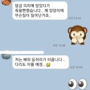 [평택발레핏🩰한나발레핏🩰] 평택발레 평택성인발레 평택취미발레 평택다이어트발레 평택자세교정 평택...