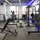 Y.GYM 이미지