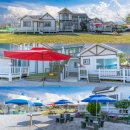 소라잡는댕댕이 이미지