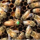 장원산업 이미지