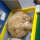 경기도 수원시 영통구 동수원로551번길 이미지