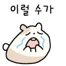 완도요트클럽하우스 네이버블로그