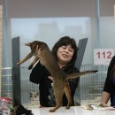 아비퀸캐터리 이미지