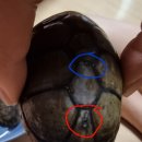 10급 돌파 이미지