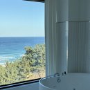 스테이하몽 이미지