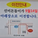 선미돈돌이