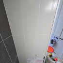 파스텔라 스튜디오 이미지