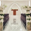 누리시아 이미지