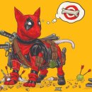 악동강아지 이미지