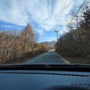 선수촌삼거리 이미지