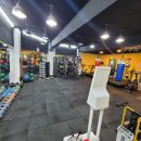 복싱바이러스 송파방이점 이미지