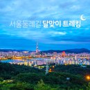 달맞이밤 이미지