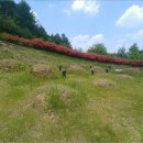 산대보건진료소 이미지