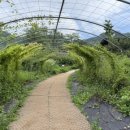 화악목장 이미지