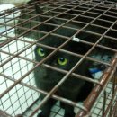 금강동물병원 이미지