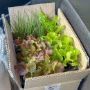 양지로105번길 이미지