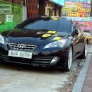 토실이네 이미지