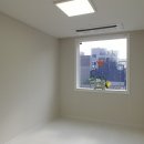 더트렌디 이미지