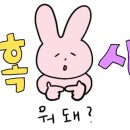 사파리체험테마파크 이미지
