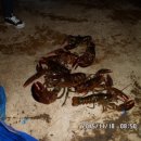 연곡저수지 이미지