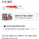 제이케이모터스서비스 | 신차출고 도장 결함 . 사고수리후 도장 하자 자동차도장 결함 .도장 사례~