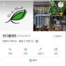 행잉플랜트 공기정화식물체험 | [경북도청] 린다플랜트 : 경북도청 원데이클래스 공방 테라리움 체험 솔직후기