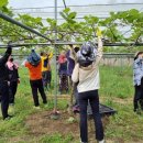 회진면행정복지센터 이미지