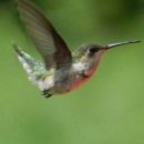 진주식당 이미지