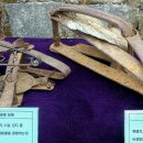 준형농장 이미지