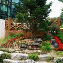 사랑샘유치원 이미지