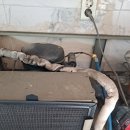 동아냉동 이미지