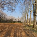 벚나무공원 화장실 이미지