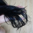 헤어닥터 이미지