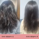5ENSE 헤어클리닉 세트로 집에서 머릿결 홈케어하기!
