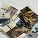 마마센트 이미지